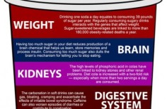 How does soda impact your body