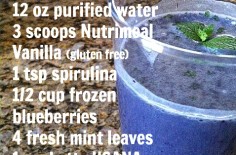 Vanilla Blueberry Mint Smoothie