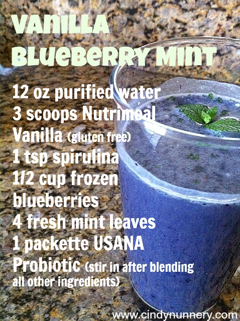Vanilla Blueberry Mint Smoothie