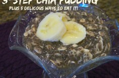 Chia-bulous Chia Oat Breakfast Pudding