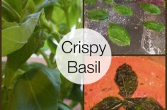 Crispy Basil