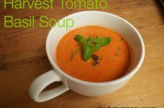 Harvest Tomato Basil Soup
