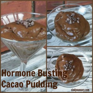 Hormone Busting Cacao Pudding