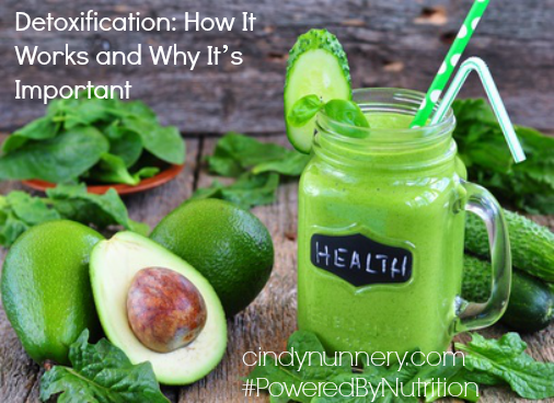 Detoxification: How It Works and Why It’s Important