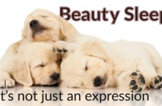 Is Beauty Sleep a Myth?