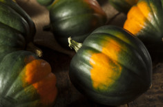 {Tips} How to Pick Ripe Acorn Squash