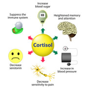 8 Tips to Lowering Cortisol Naturally