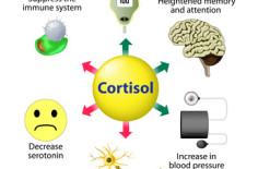8 Tips to Lowering Cortisol Naturally