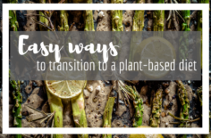 5 Easy Ways to Transition to a Plant Based Diet