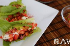 30 Days Raw Challenge and Raw Taco Recipe