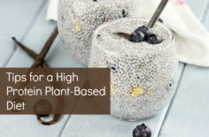 Tips for a High Protein Plant-Based Diet
