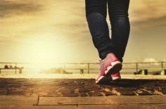 Procosa for Joint Health