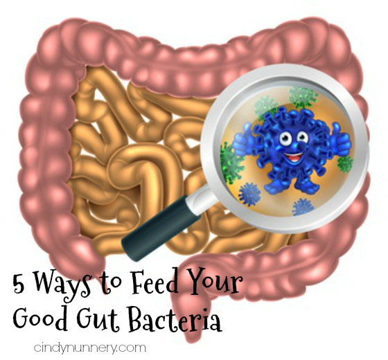 5 Ways to Improve Gut Bacteria