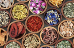 Seeking Scent Serenity: The Benefits and Science of Aromatherapy