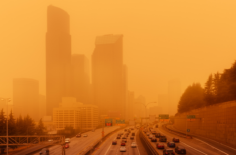 Reducing the Negative Health Effects of Air Pollution