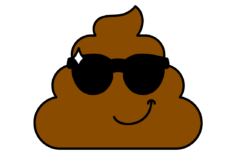 Fecal Fundamentals: Learn What Your Poop Says About Your Health
